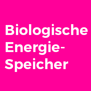 Biologische-Biochemische-Energiespeicher-Wiki-battery-WikiBattery.org