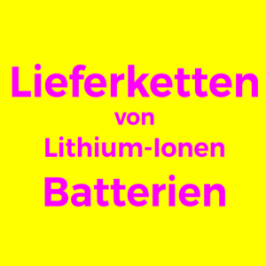 Lieferkettern-Lithium-Ionen-Batterien