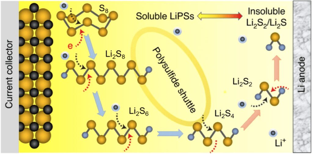 Polysulfide-shuttle-in-the-Lithium-Sulfur battery