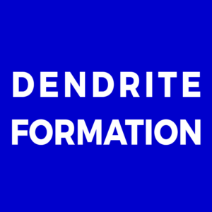 Lithium-Dendrite-Formation